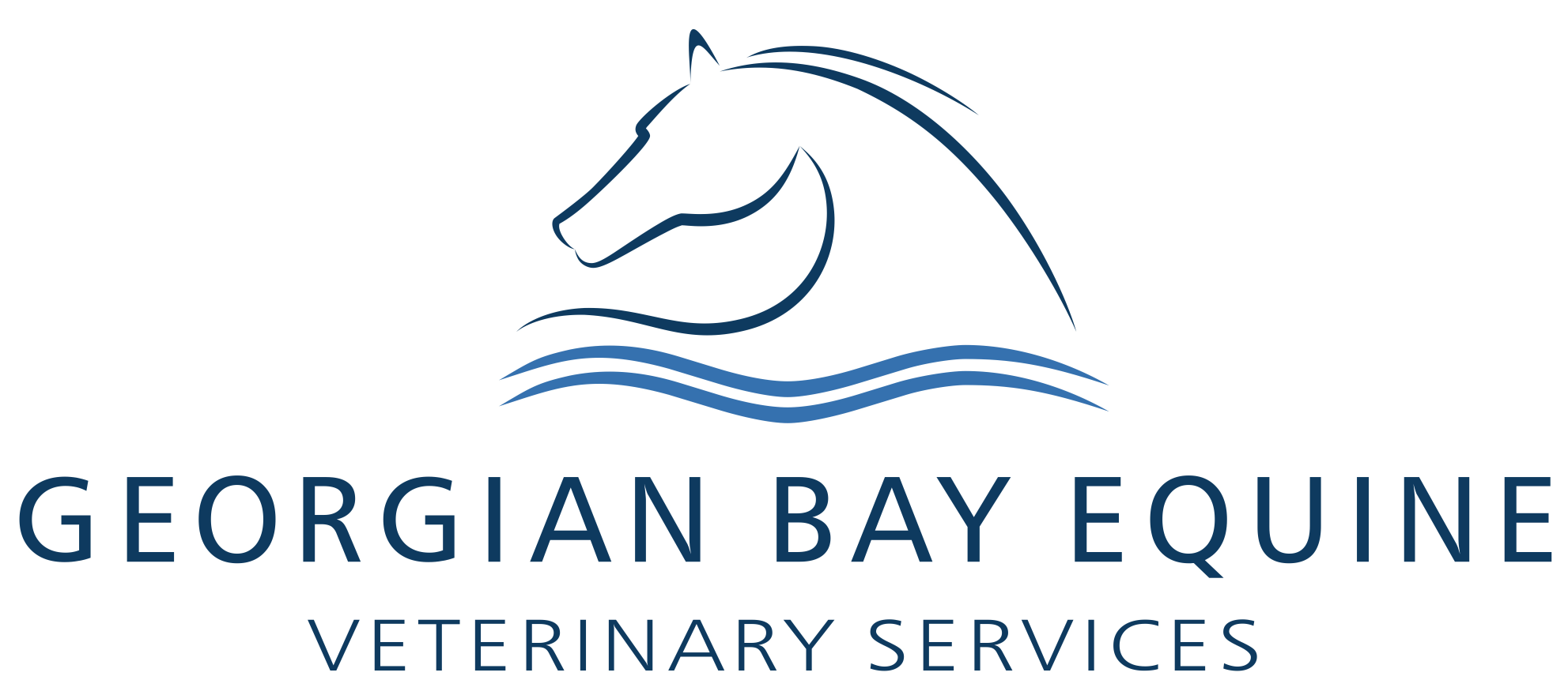 Georgian-Bay-Equine